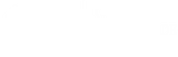 CEO Influence Forum